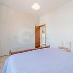 Casa Marida Tra Cotoncello E - Goelba Ferienhaus *